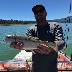 Meet your Posher, Jason